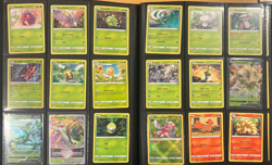 Pokemon Silver Tempest not complete master set NM condition 207 cards - Image 1
