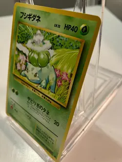 Vintage Gen 1 Japanese Pokemon Bulbasaur (001) and Ivysaur (002) Set of 2 - Image 5