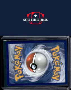 SWSH: Sword & Shield Promo Cards #SWSH142 Pikachu V-Union - Image 2
