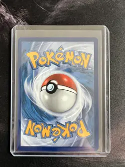 Pokemon TCG Squirtle Stellar Crown Illustration Rare. Pack Fresh - Image 2