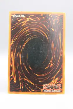 Yu-Gi-Oh! Winged Dragon Guardian Of The Fortress #1 SDY-003 - Image 2