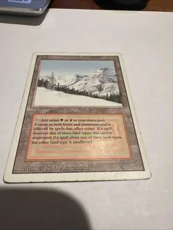 MTG Taiga Revised HP - Image 2