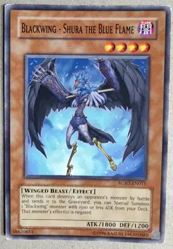 Blackwing - Shura The Blue Flame - Common - Yu-Gi-Oh! - RGBT-EN011 - Unlim. - MP - Image 1