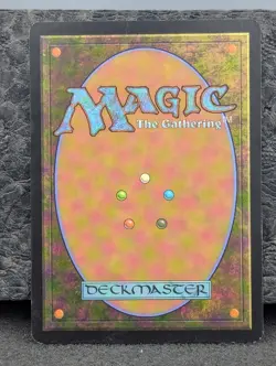 LP - Mistveil Plains - Shadowmoor - Magic The Gathering Lightly Played Eng MTG - Image 2