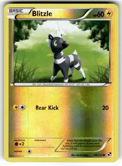 Pokemon TCG Blitzle Reverse Holo 40/114 Black And White Common NM - Image 1