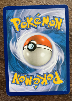 HOLO Teddiursa RC15/RC25 - 2013 Pokemon Legendary Treasures Common Card - NM - Image 3