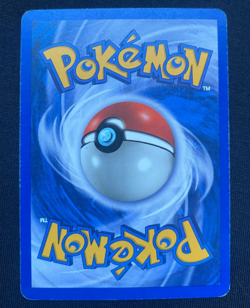 Ursaring 110/144 Pokemon Skyridge Regular (LP/MP) - Image 2