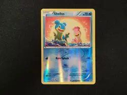 Pokemon Card Shellos Reverse Holo #28/114 XY-Steam Siege - Image 1