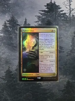 Fighter Class Adventures in the Forgotten Realms Foil - Image 1