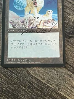 FBB Japanese Winter Orb Fourth Foreign Black Border Revised MTG Artist SIGNED - Image 2