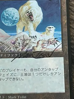 FBB Japanese Winter Orb Fourth Foreign Black Border Revised MTG Artist SIGNED - Image 3