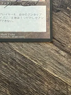 FBB Japanese Winter Orb Fourth Foreign Black Border Revised MTG Artist SIGNED - Image 4