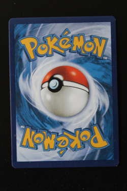 Pokemon Evoli VMAX SWSH087 HOLO Art Rare Karte DEUTSCH - Black Star Promo - Image 2