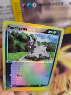 Pokemon Karte Card Poochyena Fiffyen Ex Ruby Saphire Reverse Holo Mint English - Image 3