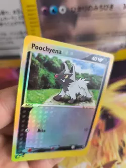 Pokemon Karte Card Poochyena Fiffyen Ex Ruby Saphire Reverse Holo Mint English - Image 4
