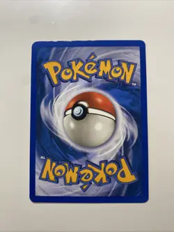 Teddiursa 109/144 Skyridge Regular E-Reader Pokemon TCG LP - Image 4