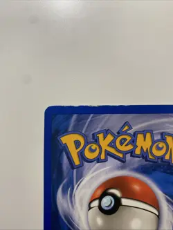 Teddiursa 109/144 Skyridge Regular E-Reader Pokemon TCG LP - Image 5