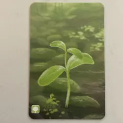 Forest Shuffle: Blue Jay / Beaver Promo Card (P029) Gen Con 2025 SUPER RARE CARD - Image 2