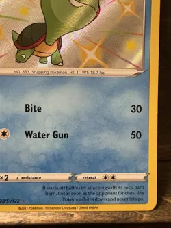 Chewtle (SV028/SV122) Shiny Holo Rare Shining Fates: Shiny Vault NM Pokemon TCG - Image 5
