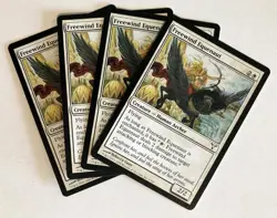 Freewind Equenaut (4) Dissension NM MTG Magic the Gathering - Image 1