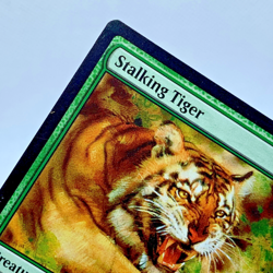 Magic the Gathering Stalking Tiger Regular Common W17 2017 Welcome Deck - Image 3