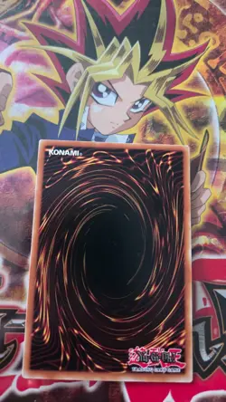 Yu-Gi-Oh! Mouton Noir de Clair de Lune SHVI-FR011 1ere Ed Commune Francais - Image 2