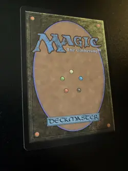 Wan Shi Tong, Librarian (Borderless) #320 (NM) TLA Magic MTG Mythic Borderless - Image 5