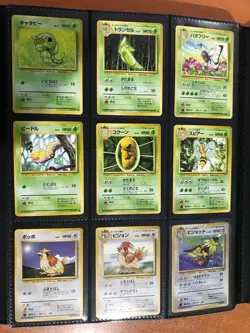 Pokemon Japanese complete 151, Base set/Jungle/Fossil 45 holos - Image 4