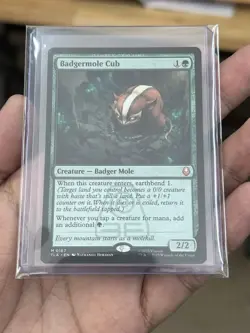 Badgermole Cub - MTG: Avatar The Last Airbender - NM 167 (Non-Foil) - Image 2