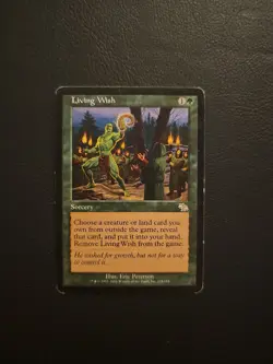 Living Wish Judgment Regular - Image 1