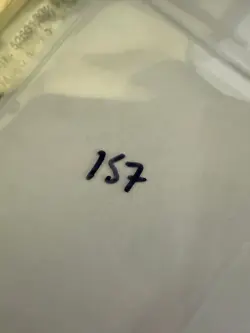 Magic The Gathering: Beta Stream of Life MTG Beta - Image 3