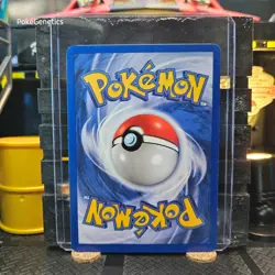 Squirtle Team Rocket Pokemon TCG 68/82 Unlimited Common - Image 5