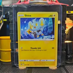 Shinx Crown Zenith Pokemon TCG 040/159 Sword & Shield Common - Image 1
