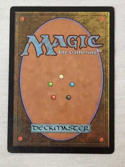 NM Time Warp Tempest Mtg Magic the Gathering - Image 2