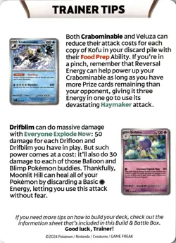 Stellar Crown Galvantula - Trainer Tips Card - Image 2
