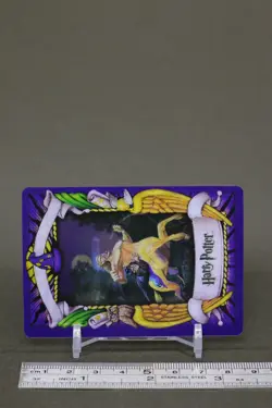 Firenze Harry Potter Chocolate Frog Card Japanese USJ Warner Bros 15 d - Image 3