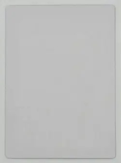 Johannes Voss Signed Tomik, Distinguished Advokist Artist Proof MTG - Image 2