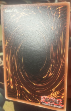 Yugioh: Book Of Life - DB2-EN230 - Super Rare - NM - Image 5