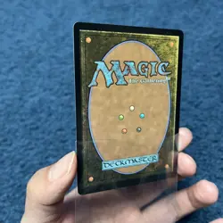 Wan Shi Tong Librarian Mythic Borderless FOIL NM - Magic MTG TLA #0320 - Image 4
