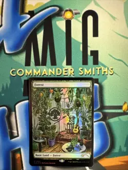 Forest ? FOIL ? MTG NM KEXP: Where the Music Matters Secret Lair 2080 - Image 1