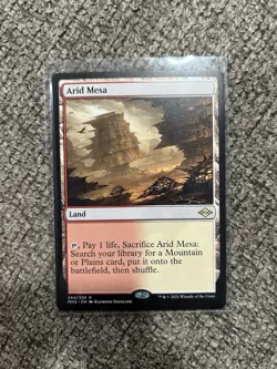Arid Mesa Modern Horizons 2 Regular - Image 1