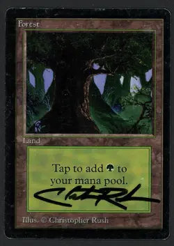 ***Beta Forest Eyes Signed*** MTG Beta Christopher Rush Magic Kid Icarus - Image 1