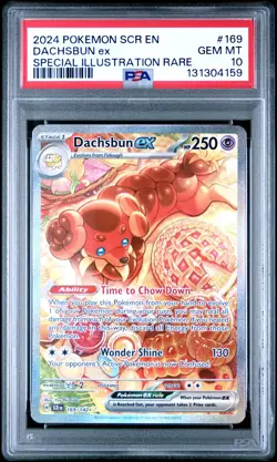 2024 POKEMON SCR EN-STELLAR CROWN SPECIAL ILLUSTRATION RARE DACHSBUN EX PSA 10 - Image 1