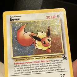 Pokemon Card - Eevee Promo WoTC Black Star Promo 11 MP - Image 3