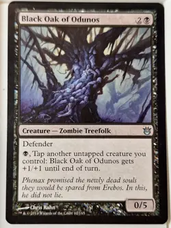 Black Oak of Odunos - Born of the Gods - Magic the Gathering MTG Nice! - Image 1