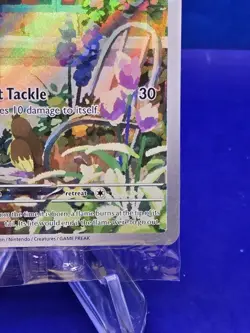 Charmander - SVP044 SEALED Obsidian Flames ETB Promo Pokemon - NM/MINT - Image 5