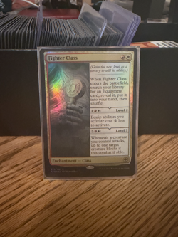 Fighter Class Adventures in the Forgotten Realms Foil - Image 1