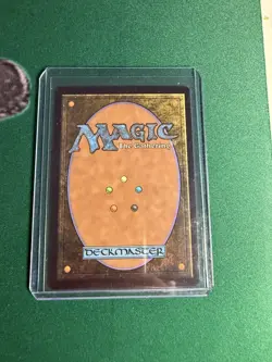 Swamp, Full Art Foil - 1941, Spongebob Squarepants Secret Lair Drop, MTG NM - Image 2