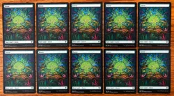 MTG 10x Forest (Showcase) - Dominaria United, English - Full Art - Image 1