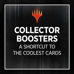 Magic: The Gathering Murders at Karlov Manor Collector Booster Box - 12 Packs 195166244884 - Image 3
